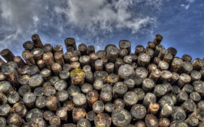 Forestry Paper and Packaging Industries